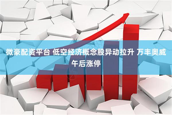 微豪配资平台 低空经济概念股异动拉升 万丰奥威午后涨停