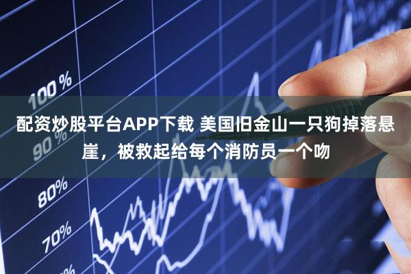配资炒股平台APP下载 美国旧金山一只狗掉落悬崖，被救起给每个消防员一个吻